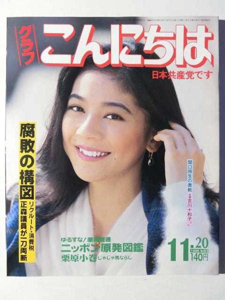 1988年11月20日